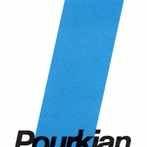 The Purkian Group